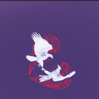 Smile - Single - Frank the Eagle