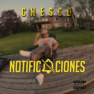 Notificaciones - Single