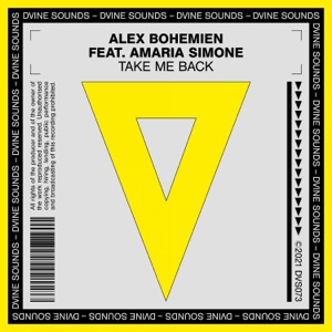 Take Me Back (feat. Amaria Simone) - Single