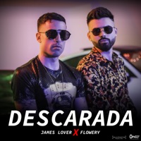 DESCARADA - Single - Flowery & James Lover