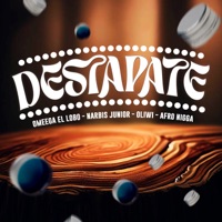 Destapate - Single - Omeega el lobo, Oliwi, Afro Nigga & Narbis Junior
