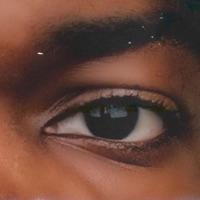 FAUXPOLOGY - Single - Kelency