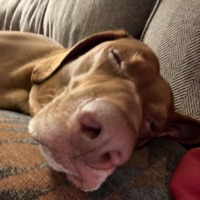 Read My Mind - Single - trevmas