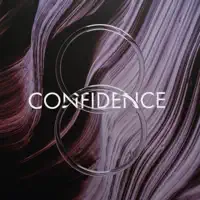 Confidence — Thomas Lemmer & Oine