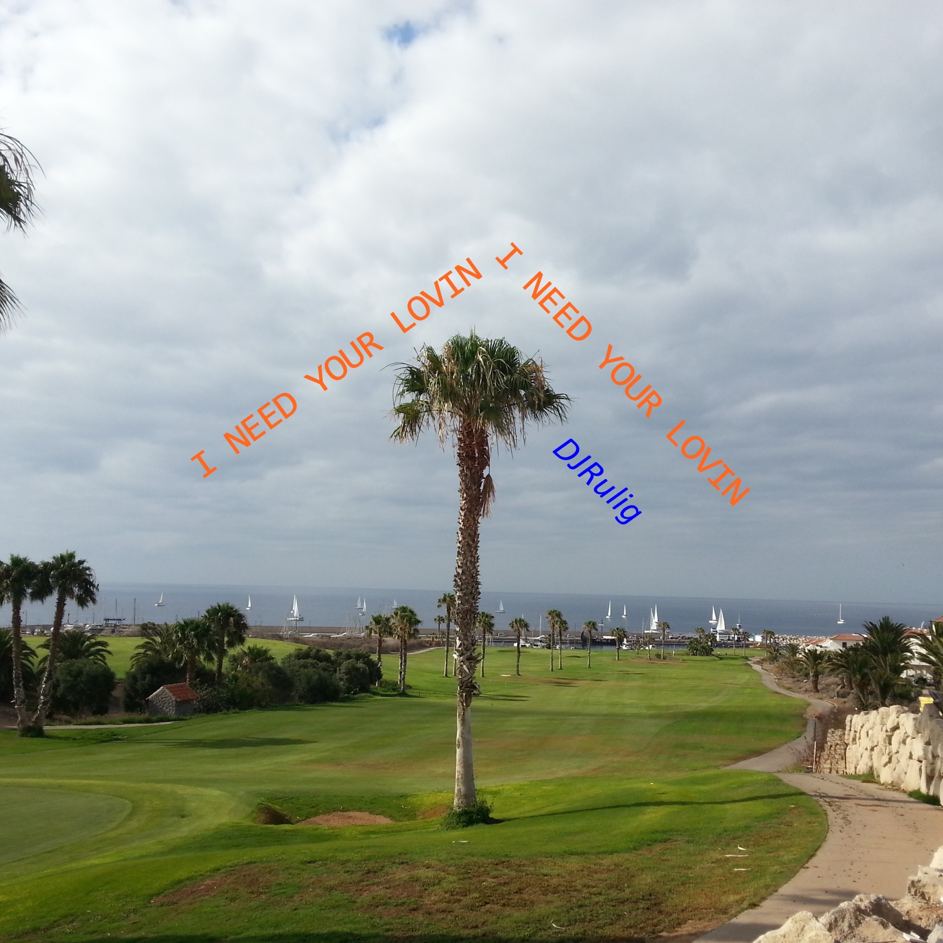 I NEED YOUR LOVIN - Single