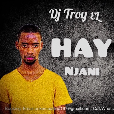 Hayibo njani (New Gqom2023)by DjTroyEL - Single