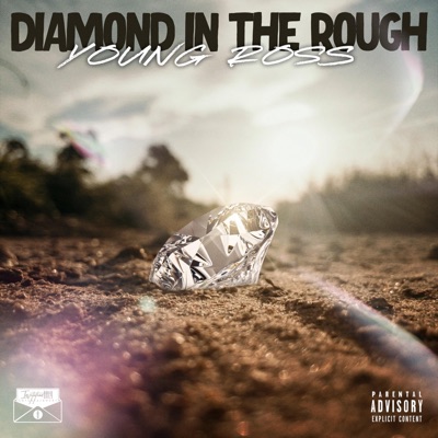 Diamond In the Rough - Single
