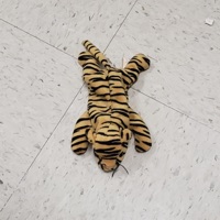 Monkey on the Floor! - Single - BedBug