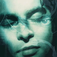 fin - Single - Kamanugue