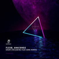 Uhum (Including Flux Zone Remix) - EP - FlexB & Anacondz