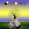 Loose and Free - Pey Dalid lyrics