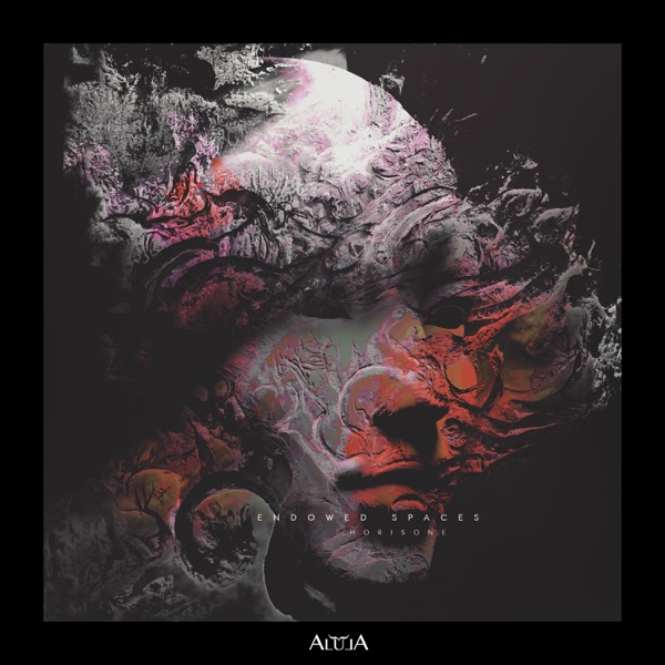 Endowed Spaces - Single