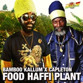 Food Haffi Plant artwork