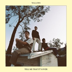 TELL ME THAT IT'S OVER cover art
