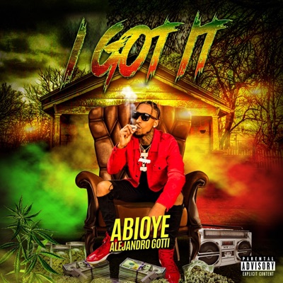 I Got It - Single