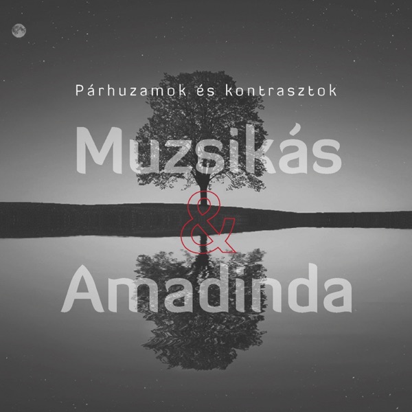 Párhuzamok és kontrasztok