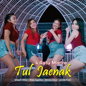 4 Ratu Mletre - Tul Jaenak - Line Dance Music
