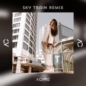 Sky Train (Remix) artwork