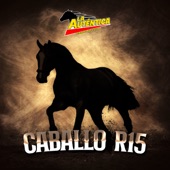 Caballo R15 artwork