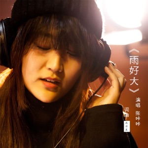 雨好大 - Single