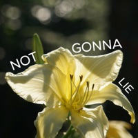 Not Gonna Lie - Single - Erikiih