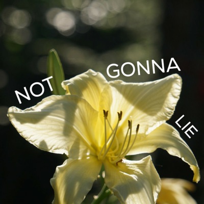 Not Gonna Lie - Single