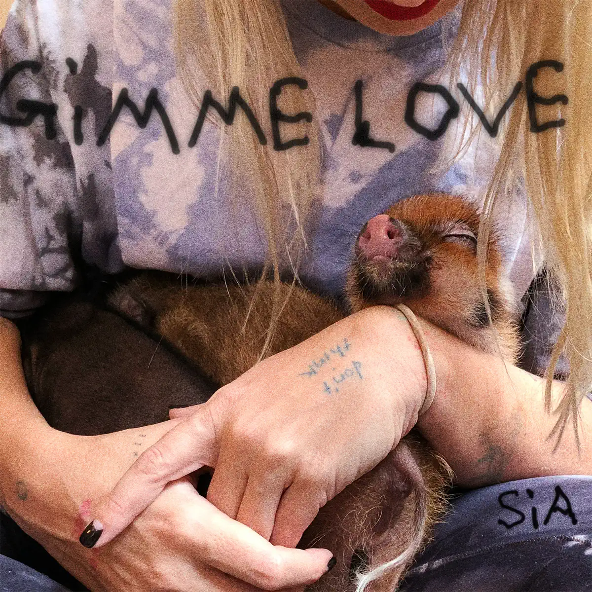 Sia - Gimme Love (Reasonable Woman Version) - Single (2023) [iTunes Plus AAC M4A]-新房子