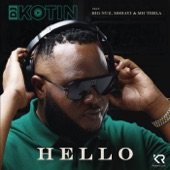 Hello (feat. Big Nuz, Mshayi & Mr Thela) artwork