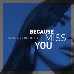 Because I Miss You (feat. Danai Dede)