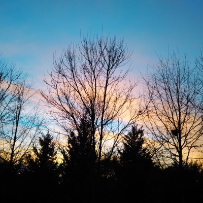 Coming Wit It - Single