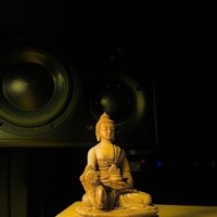 Everyday - Single - X Planter