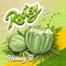 Rootsy - Honey B lyrics