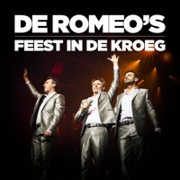 Feest In De Kroeg - Single - De Romeo's