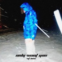 only want you (feat. Lune) - Single - t0rtur3