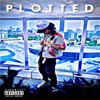 Plotted - Single