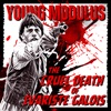 Young Modulus