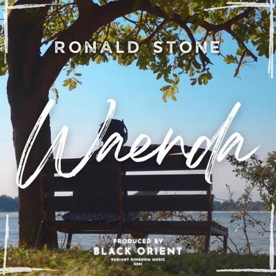 Waenda (feat. Ronald Stone) - Single