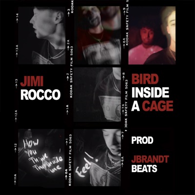 Bird Inside a Cage - Single