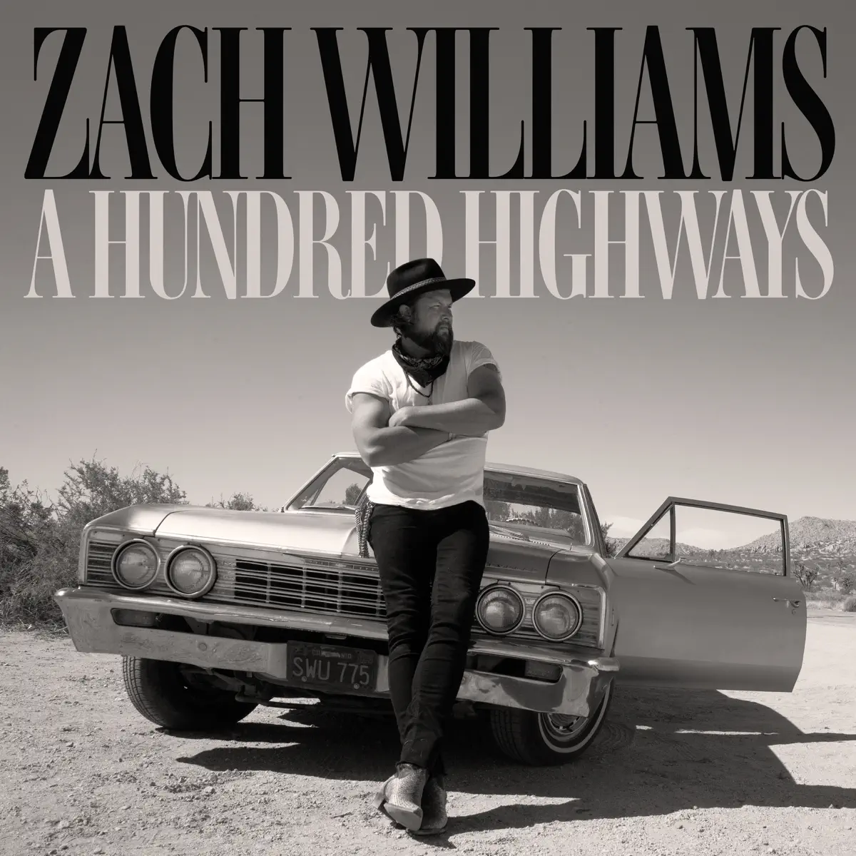 Zach Williams - A Hundred Highways (Extended Edition) (2024) [iTunes Plus AAC M4A]-新房子