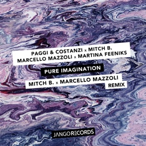 Pure Imagination - Single