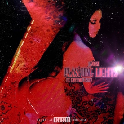 FLASHING LIGHTS (feat. GreyNotGray) - Single