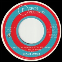 Are You Lonely For Me Baby (feat. Malik Moore) - Single - Night Owls