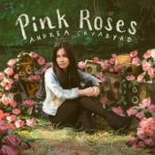 Pink Roses artwork