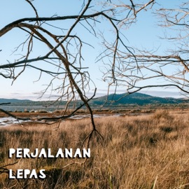 Perjalanan (feat. MorningMaxwell) Lepas