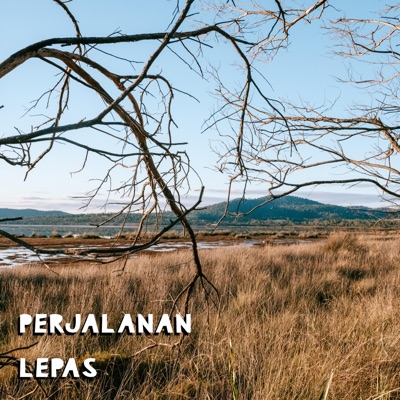 Perjalanan (feat. MorningMaxwell) - Single