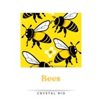Bees - Single