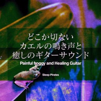 Painful froggy and Healing Guitar, Vol. 2, -J-POP-