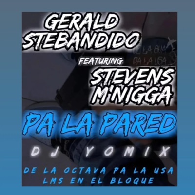 Pa la pared (feat. STEVENS M NIGGA) - Single