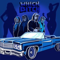 Which Bitch? (feat. Bankboi Money, Stinje, Fony Wallace & Eddison) - Single - Hank Trill & Crip Mac