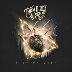 Ain't No Need - Single